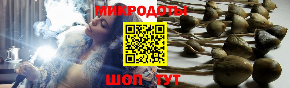 Псилоцибиновые грибы мухоморы  Вход с VPN  Кимры 